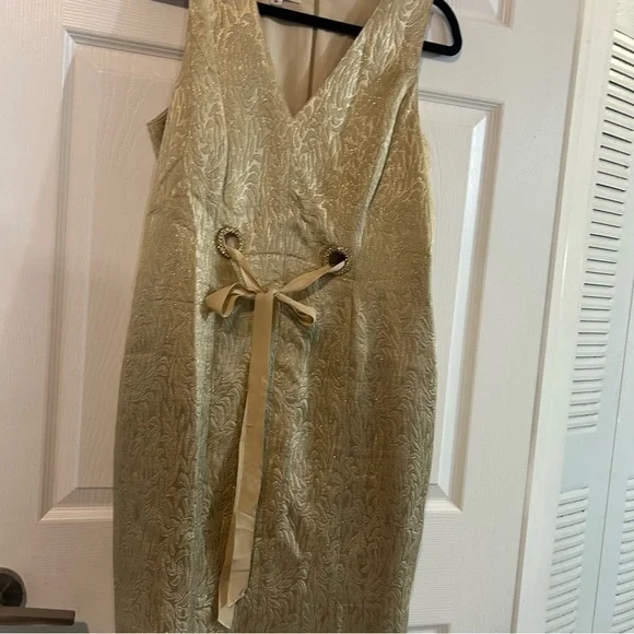 Elegant Gold Sleeveless Dress - Picture 11 of 13